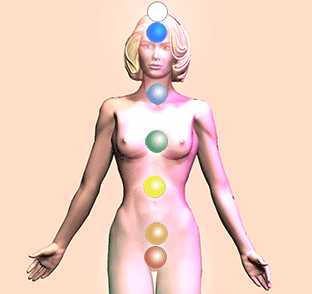 the chakras of the human microcosm