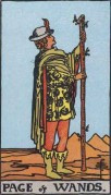 the page of wands minor arcana card