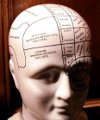 model of brain