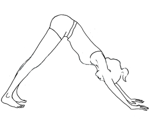yoga posture downward dog
